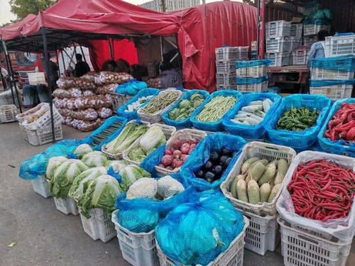 生活記 探訪太原河西農副產品批發市場——滿載而歸的零食尋味之旅