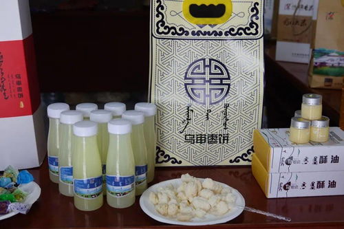 樂享鄂爾多斯｜8月21日，來烏審旗撒歡兒，用農(nóng)副產(chǎn)品零食治愈你的味蕾